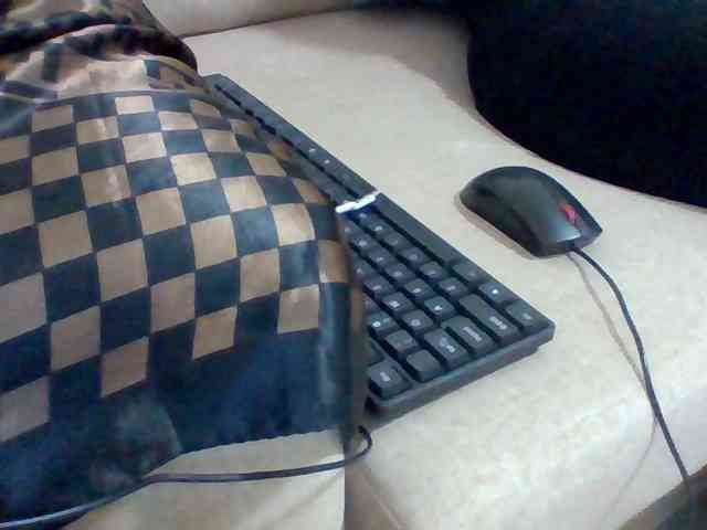 Dollie webcam