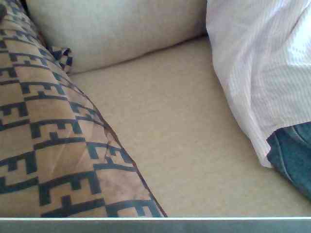 Dollie webcam