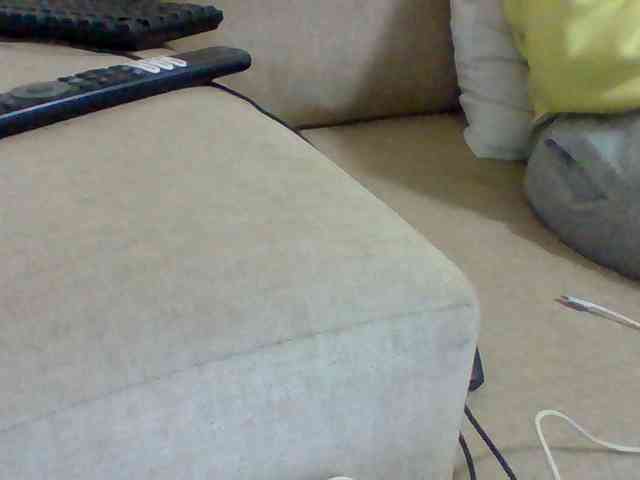 Dollie webcam