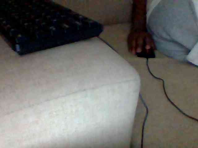 Dollie webcam