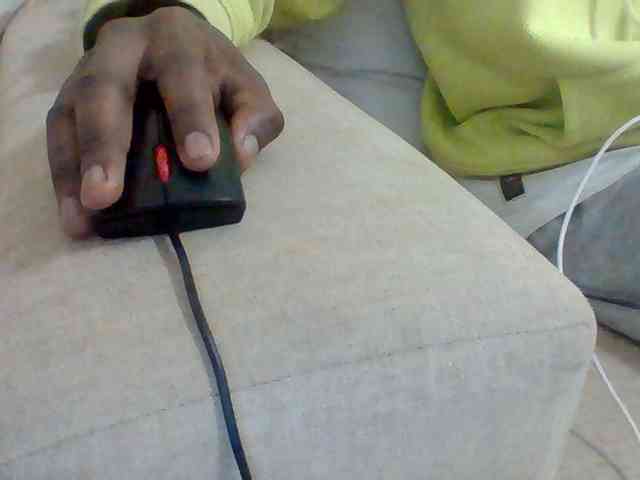 Dollie webcam