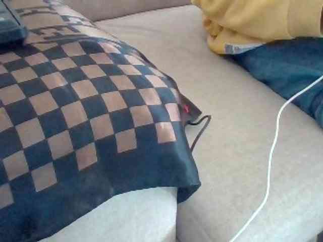 Dollie webcam