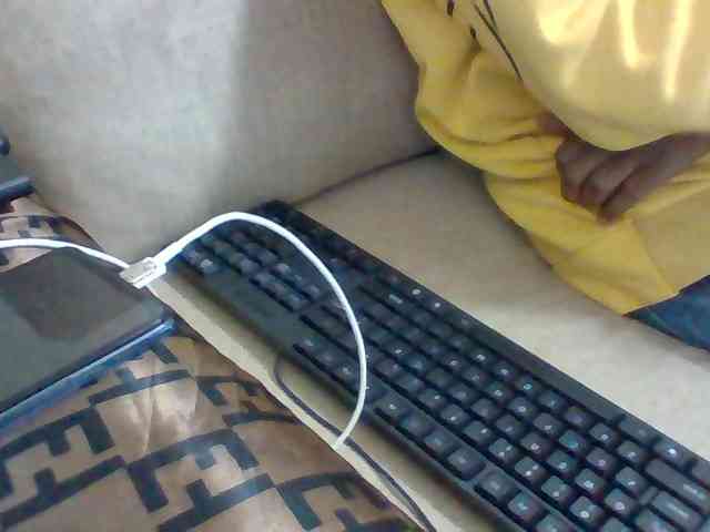 Dollie webcam