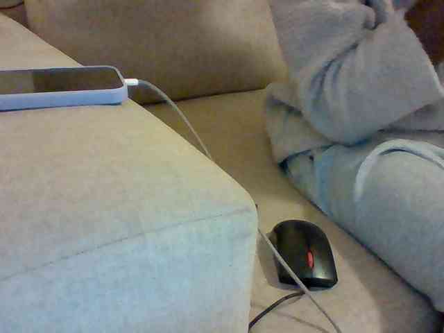 Dollie webcam