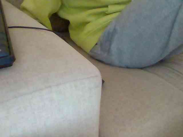 Dollie webcam