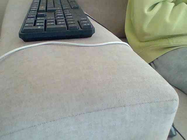 Dollie webcam