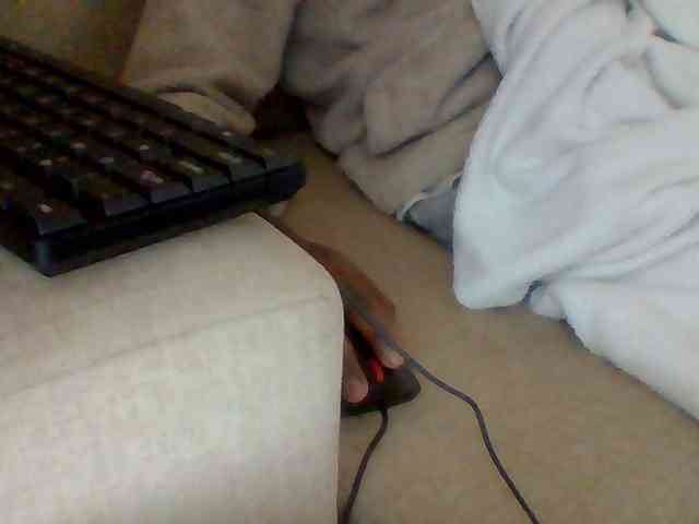 Dollie webcam