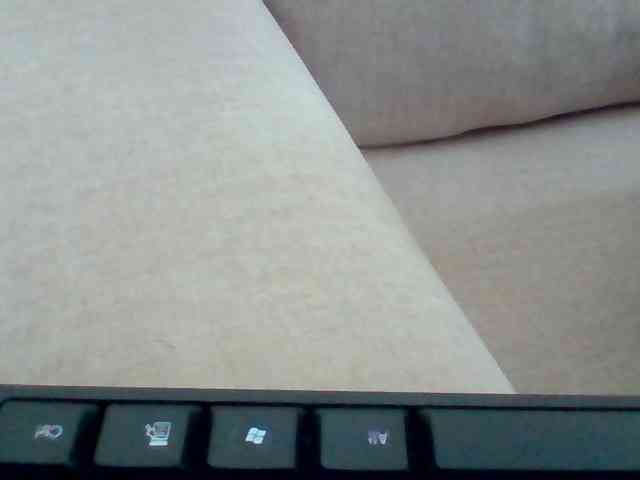 Dollie webcam