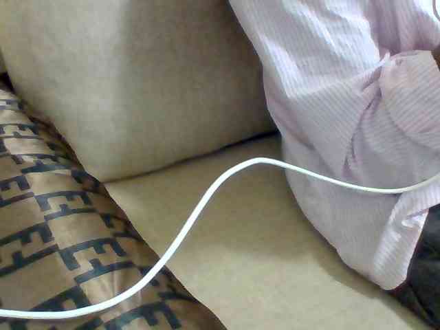 Dollie webcam