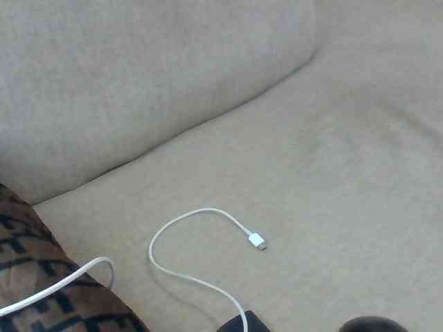 Dollie webcam