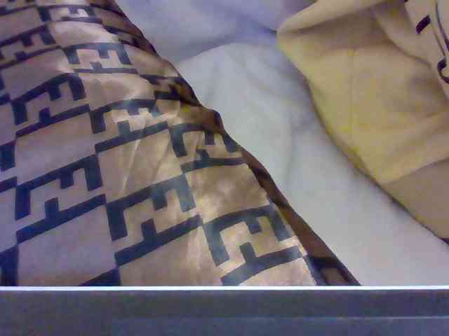 Dollie webcam