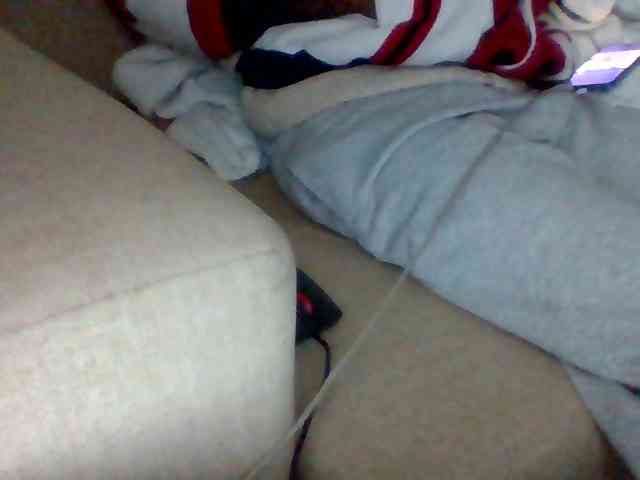 Dollie webcam