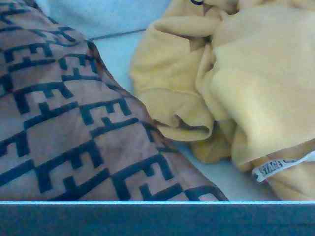 Dollie webcam
