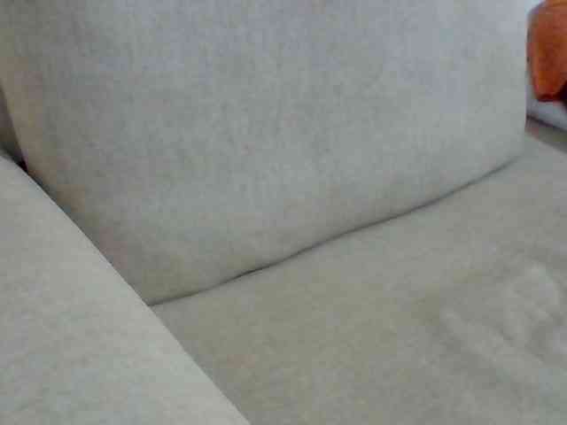 Dollie webcam
