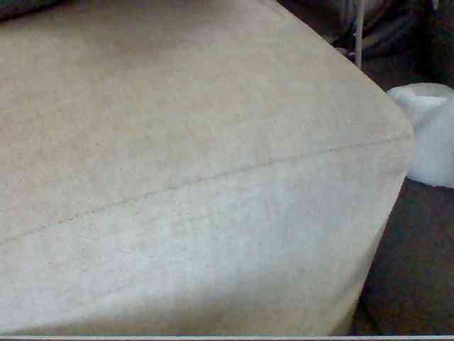 Dollie webcam