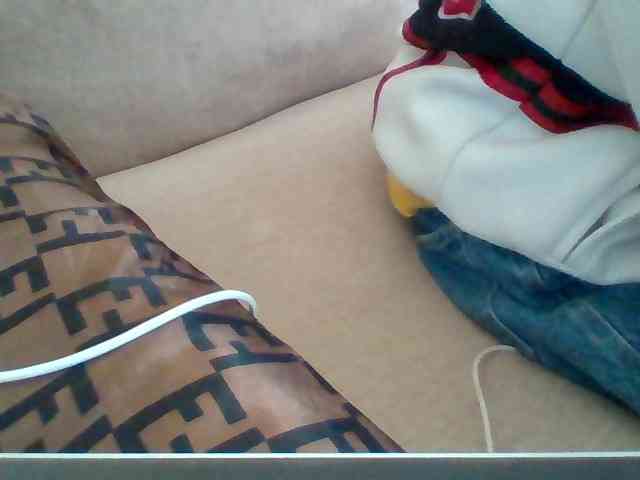 Dollie webcam