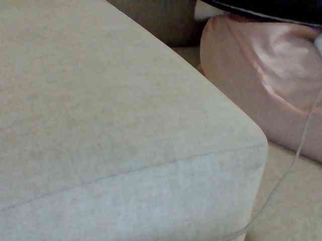 Dollie webcam