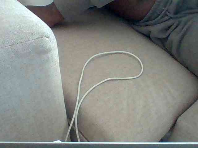 Dollie webcam