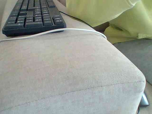 Dollie webcam