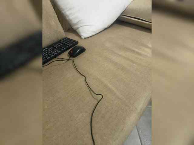 Dollie webcam