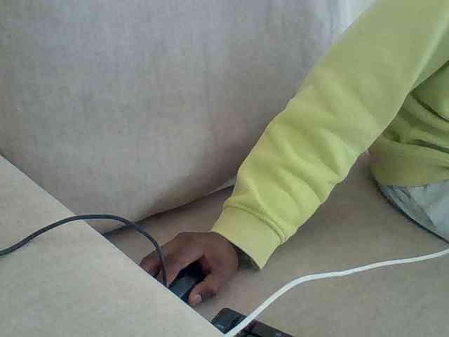 Dollie webcam
