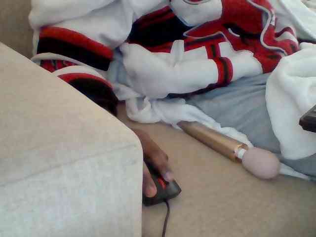 Dollie webcam