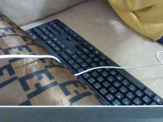 Dollie webcam