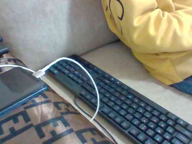 Dollie webcam