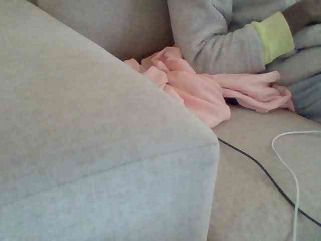 Dollie webcam