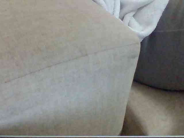 Dollie webcam