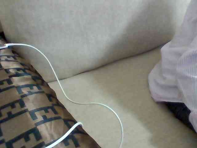Dollie webcam