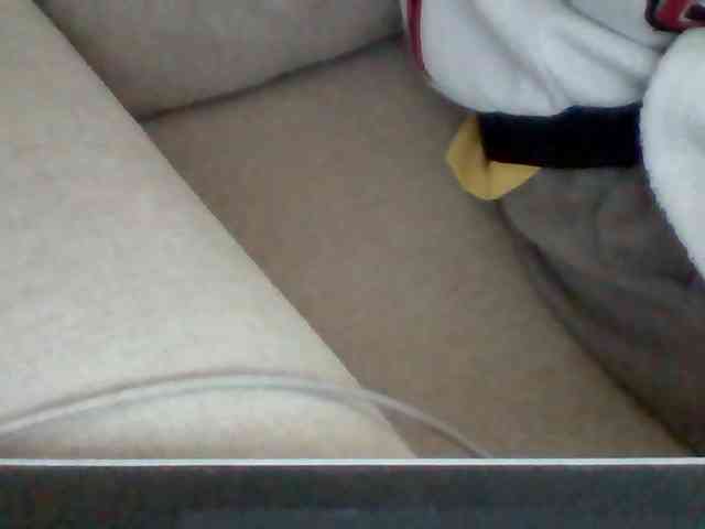 Dollie webcam