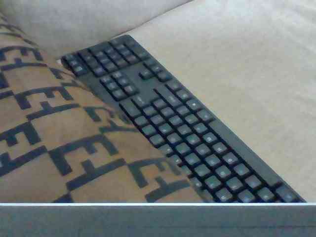 Dollie webcam