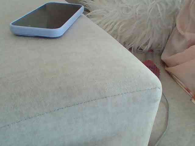 Dollie webcam