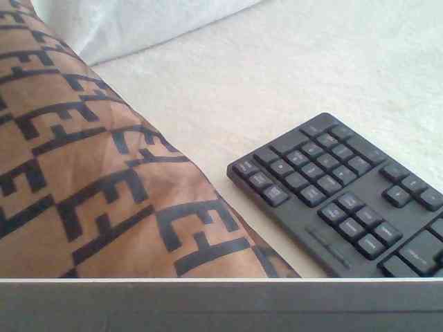 Dollie webcam