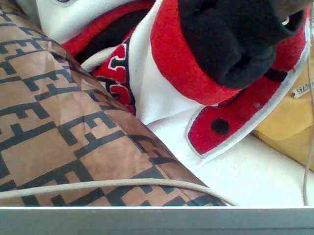 Dollie webcam