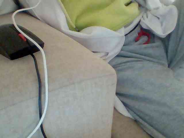 Dollie webcam