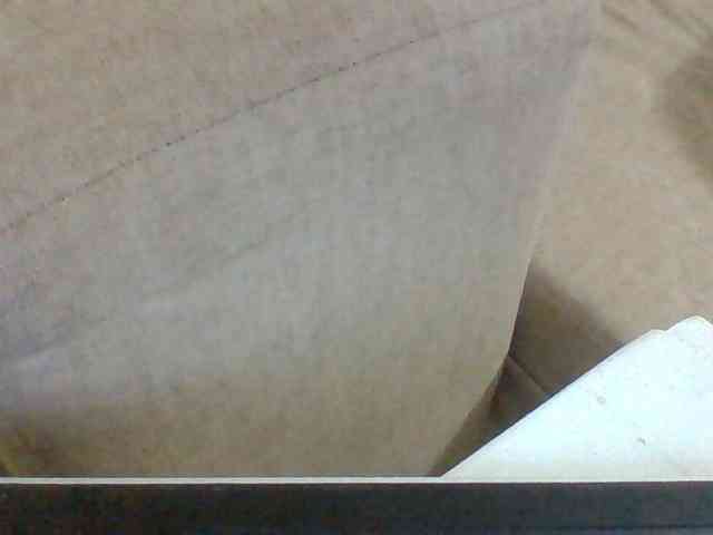 Dollie webcam