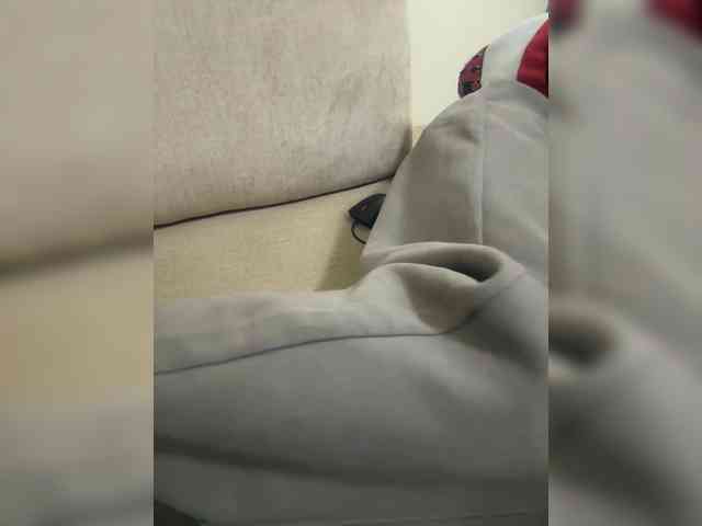 Dollie webcam