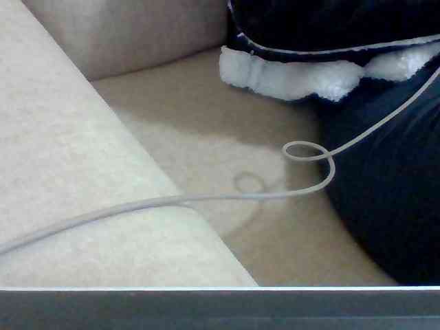 Dollie webcam