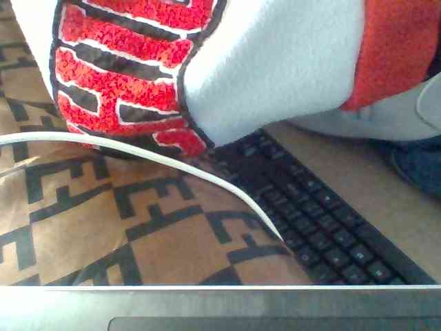 Dollie webcam