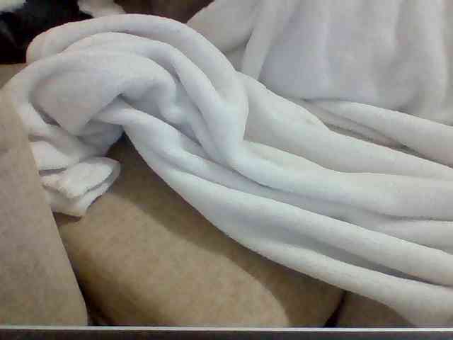 Dollie webcam
