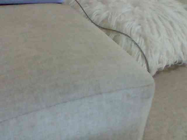 Dollie webcam