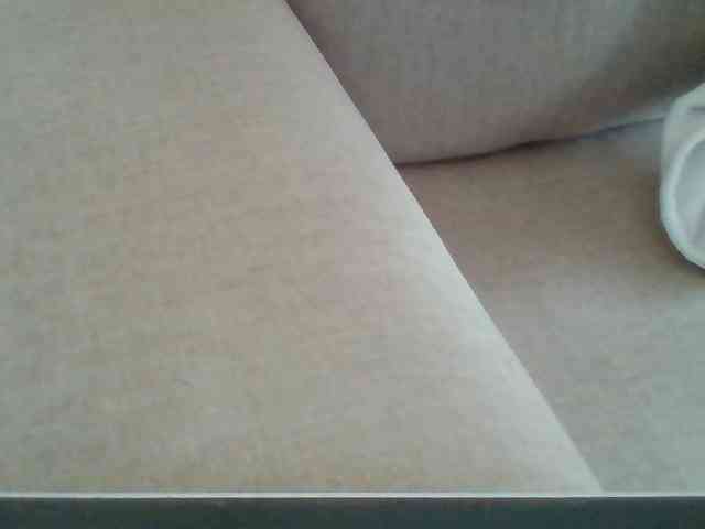 Dollie webcam