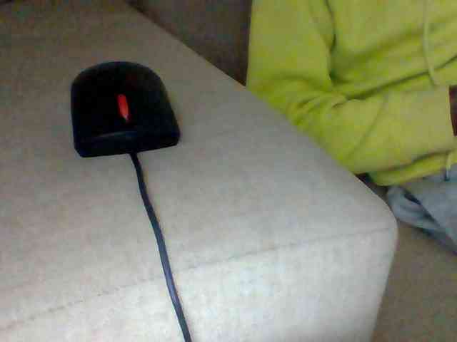 Dollie webcam