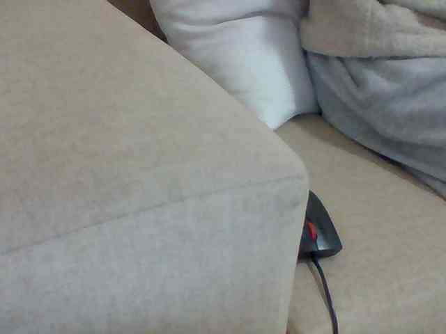 Dollie webcam
