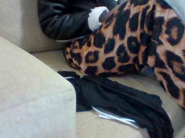 Dollie