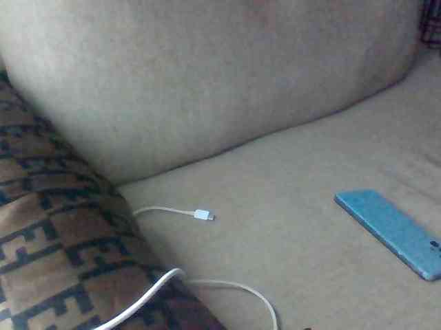 Dollie webcam