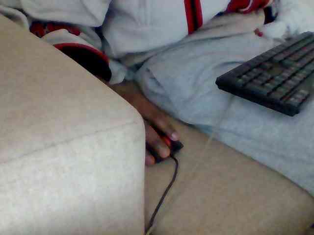 Dollie webcam