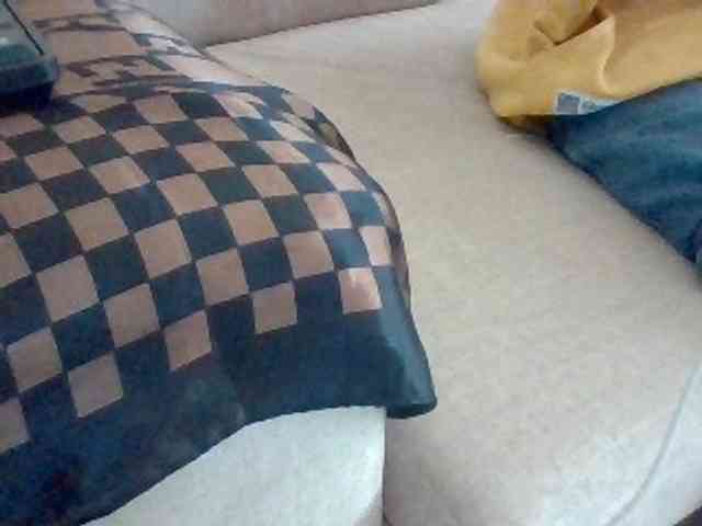 Dollie webcam